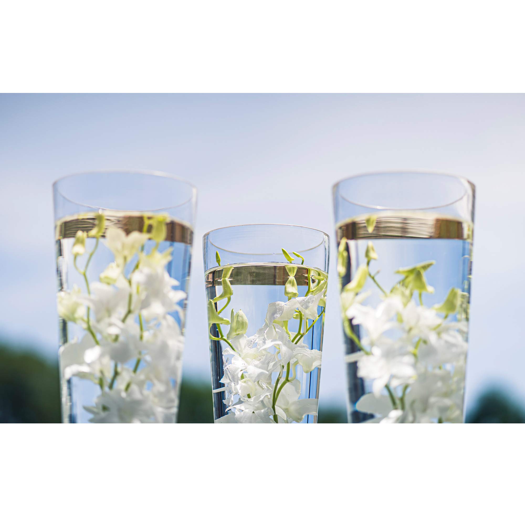 Amazon.com: WGV Tapered Glass Vase, Width 8